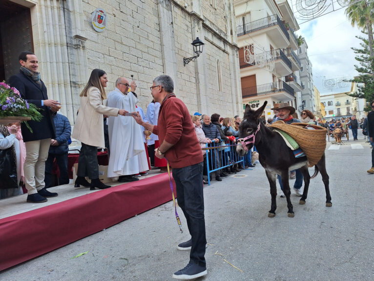 Bendición de animales por Sant Antoni en Benissa 2024 73