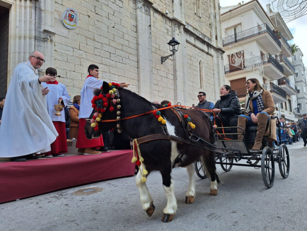 bendicion de animales por sant antoni en benissa 2024 78