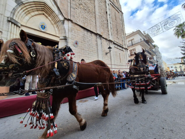 bendicion de animales por sant antoni en benissa 2024 81