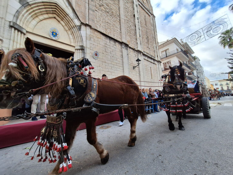 Bendición de animales por Sant Antoni en Benissa 2024 81