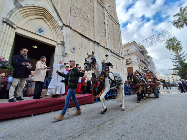 Bendición de animales por Sant Antoni en Benissa 2024 83