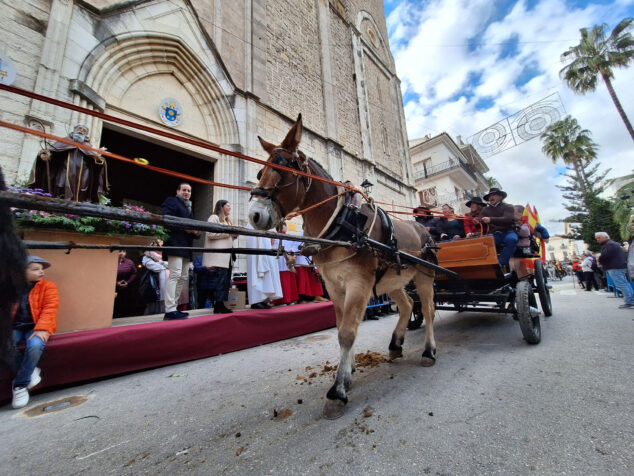 bendicion de animales por sant antoni en benissa 2024 93