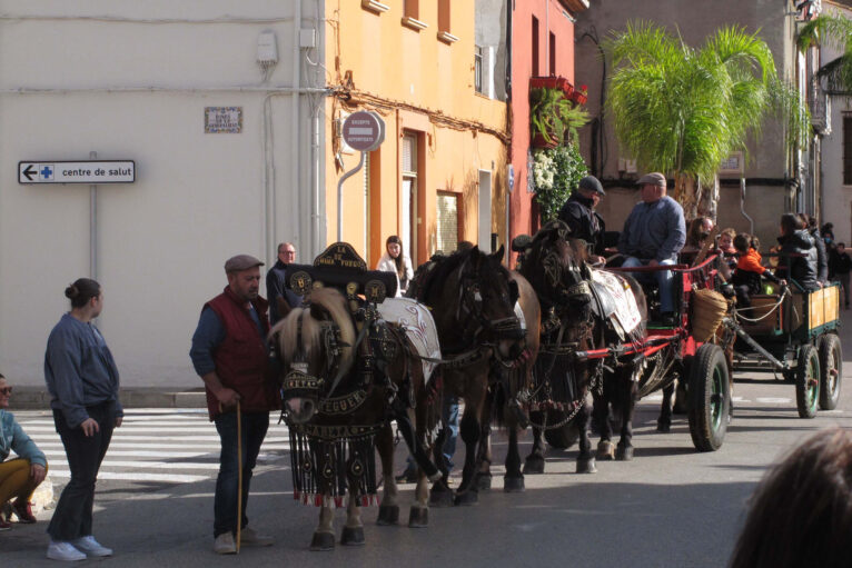 Bendición de animales por Sant Antoni en Ondara en 2024 05