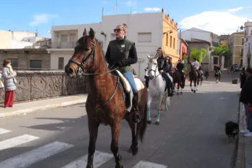 Bendición de animales por Sant Antoni en Ondara en 2024 07