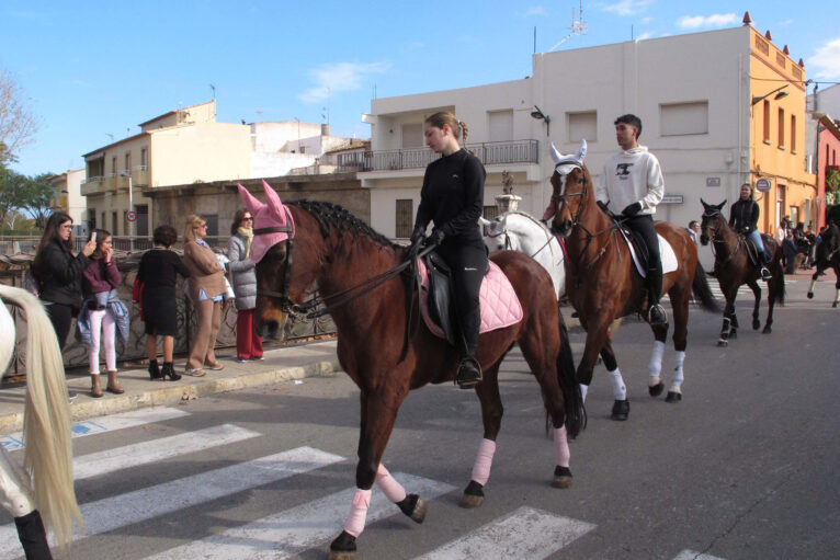 Bendición de animales por Sant Antoni en Ondara en 2024 08