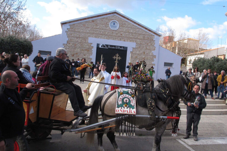 Bendición de animales por Sant Antoni en Ondara en 2024 11