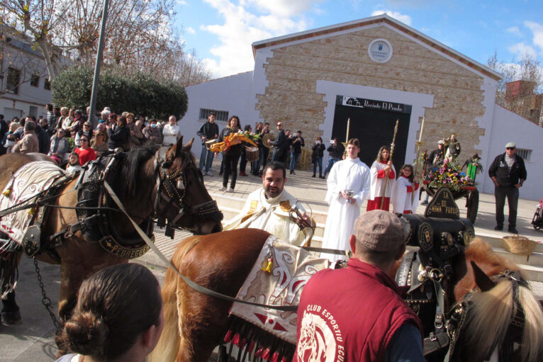 Bendición de animales por Sant Antoni en Ondara en 2024 12