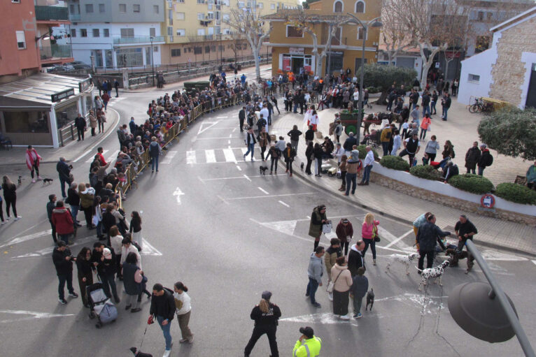 Bendición de animales por Sant Antoni en Ondara en 2024 16