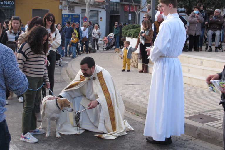 Bendición de animales por Sant Antoni en Ondara en 2024 20