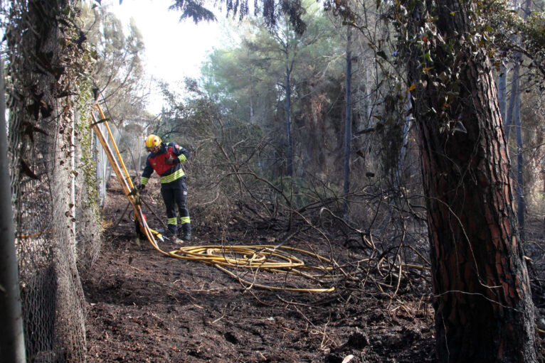 Bomberos trabaja en la extinción de un incendio (archivo)