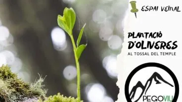 cartel del dia del arbol destacada