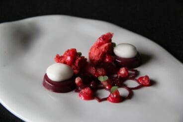 darwin venus de rubi