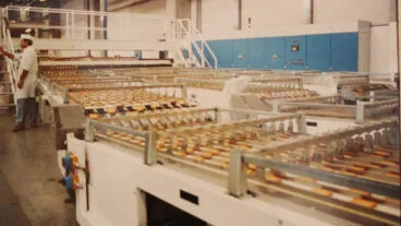 guias antel del empaquetado de la fabrica ortiz bimbo en el verger