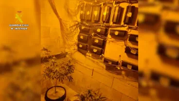 Enganche eléctrico ilegal en la plantación de marihuana indoor de Benissa
