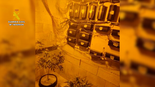 Imagen: Enganche eléctrico ilegal en la plantación de marihuana indoor de Benissa