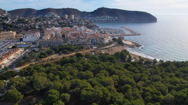 Imagen: Pineda del Molinet en Moraira junto a la playa de la Ampolla