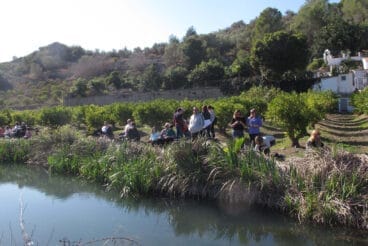 Baixà del riu Bullent en la Marjal de Pego 2024 04