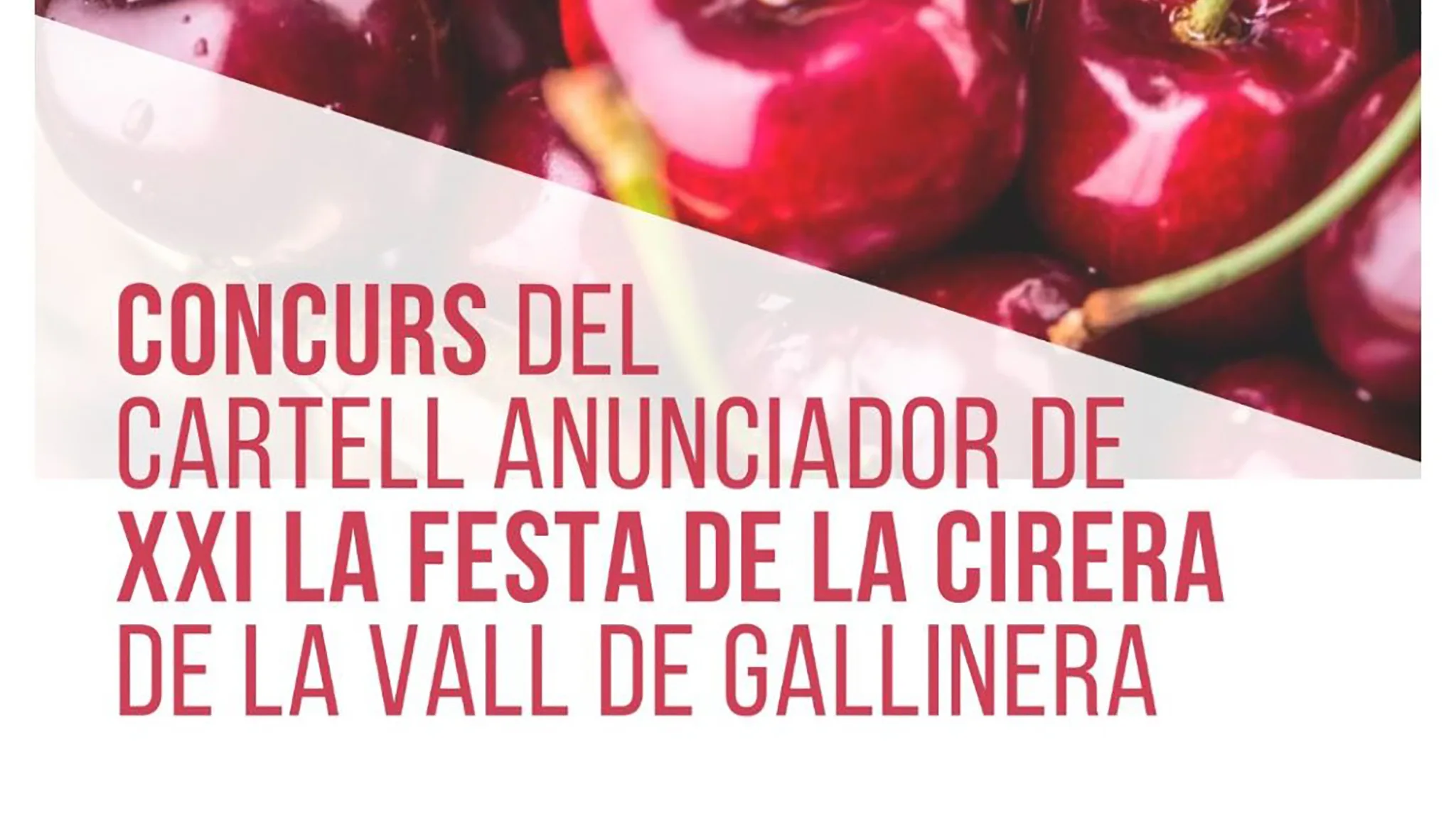 concurso del cartel de la xxi fiesta de la cereza de vall de gallinera destacada