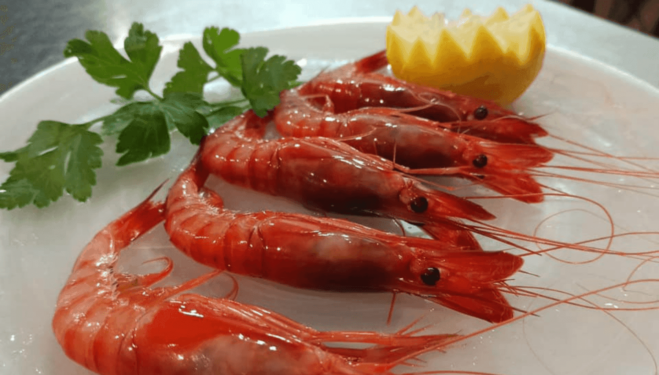 Gamba roja de Dénia fresca para disfrutar de la gastronomía más típica