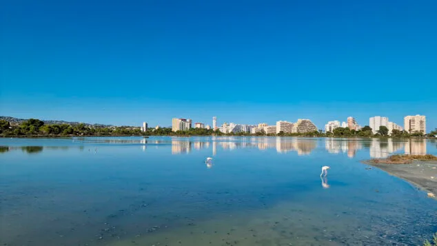 Imagen: Humedal de Les Salines de Calp