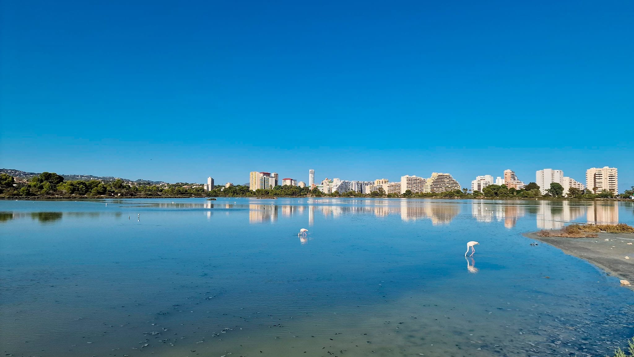 humedal de les salines de calp