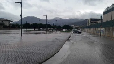 municipio de pego
