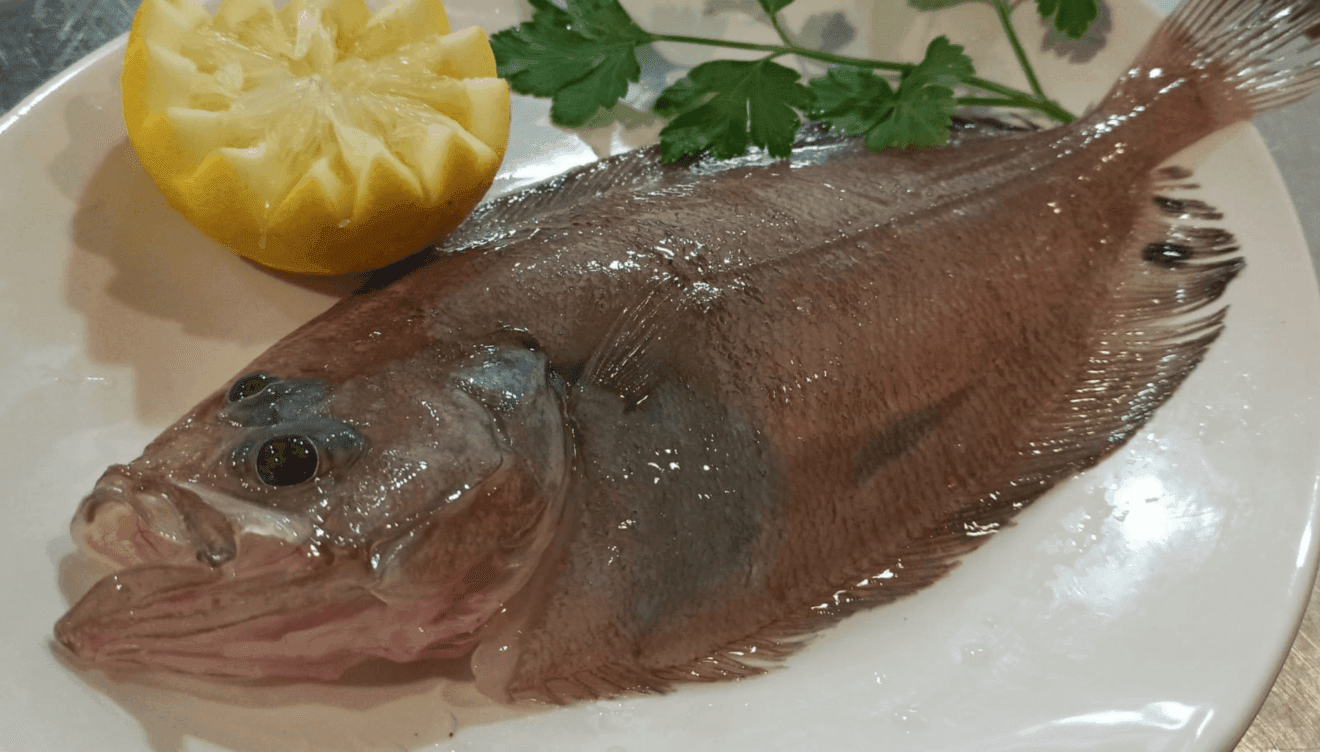 Pescado fresco de la bahía