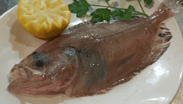 Pescado fresco de la bahía