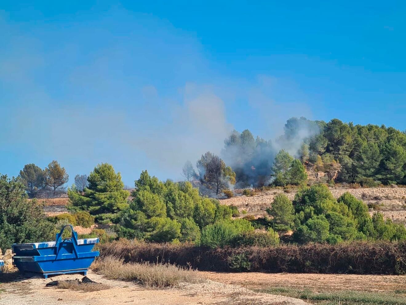 Pinada en llamas en el camí dels Castellons de Teulada