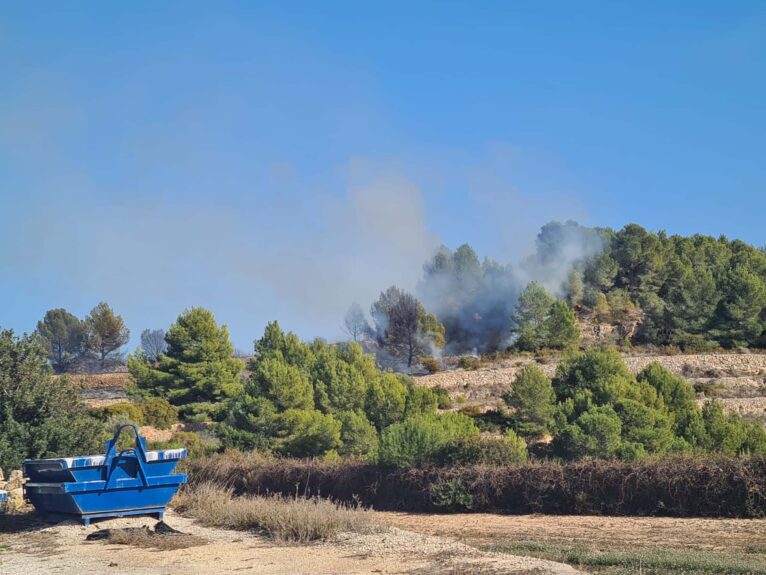 Pinada en llamas en el camí dels Castellons de Teulada