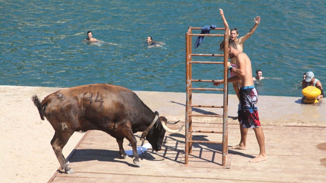 Sesión taurina de Bous a la Mar en Xàbia en 2023