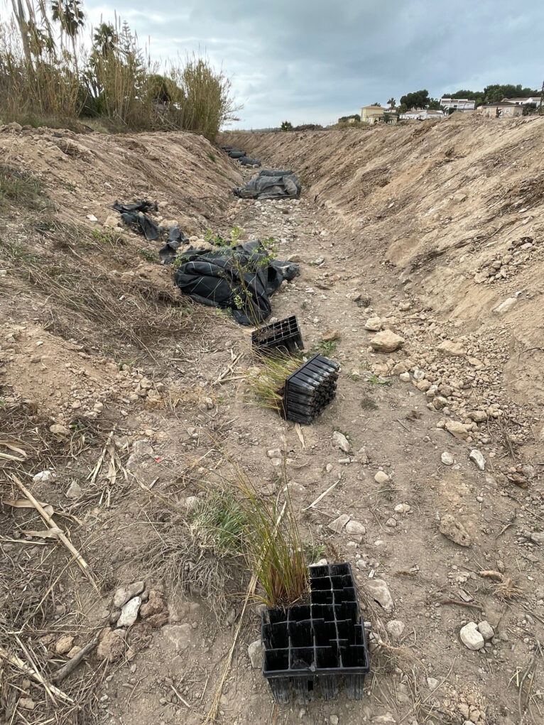 Trabajos de mantenimiento forestal