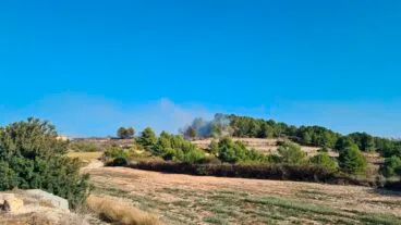 zona de pinada de teulada donde se ha producido el incendio