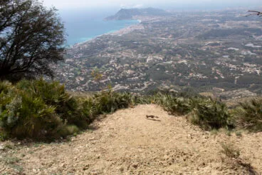 Ardilla en la Sierra de Bernia