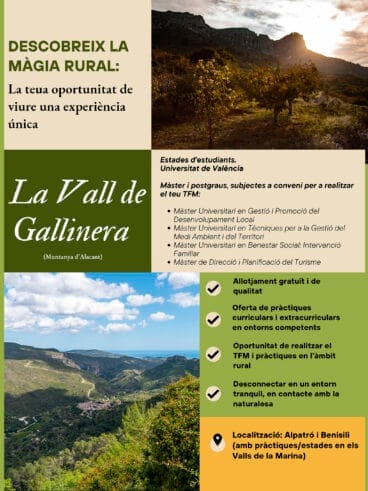 Cartel de la iniciativa del Ayuntamiento de la Vall de Gallinera y el IIDL para acoger estudiantes en los colivings