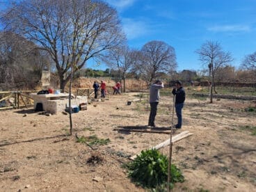 Estado actual del área recreativa del Molí Coví de Ondara