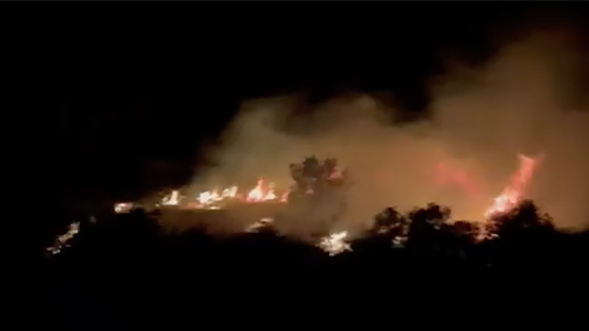 incendio en la marjal de pego