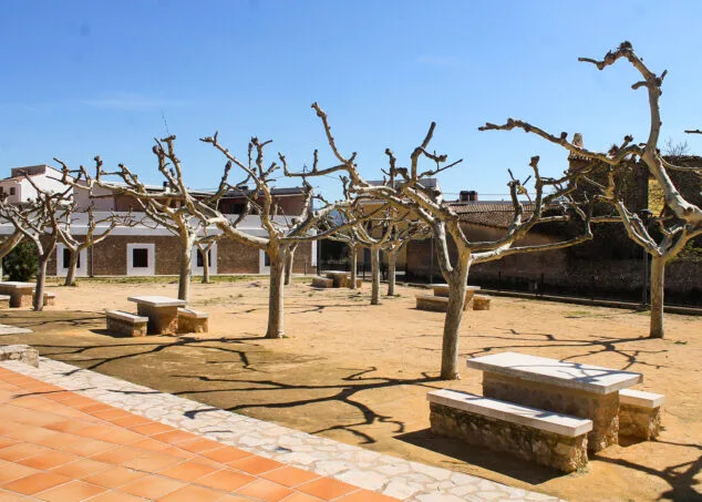 Imagen: Mesas de merendero en el Ràfol d'Almúnia