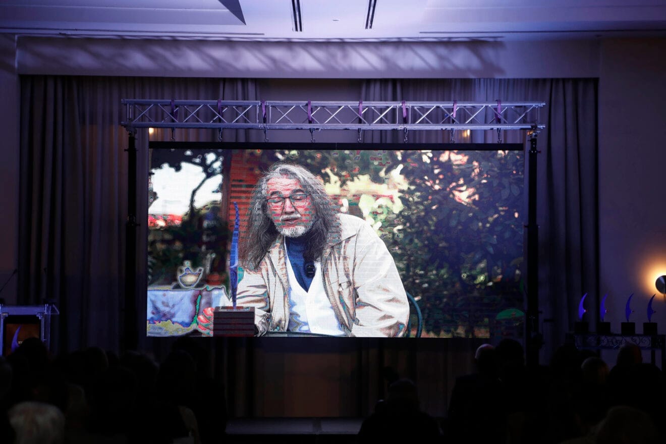 Premios CEDMA 202425