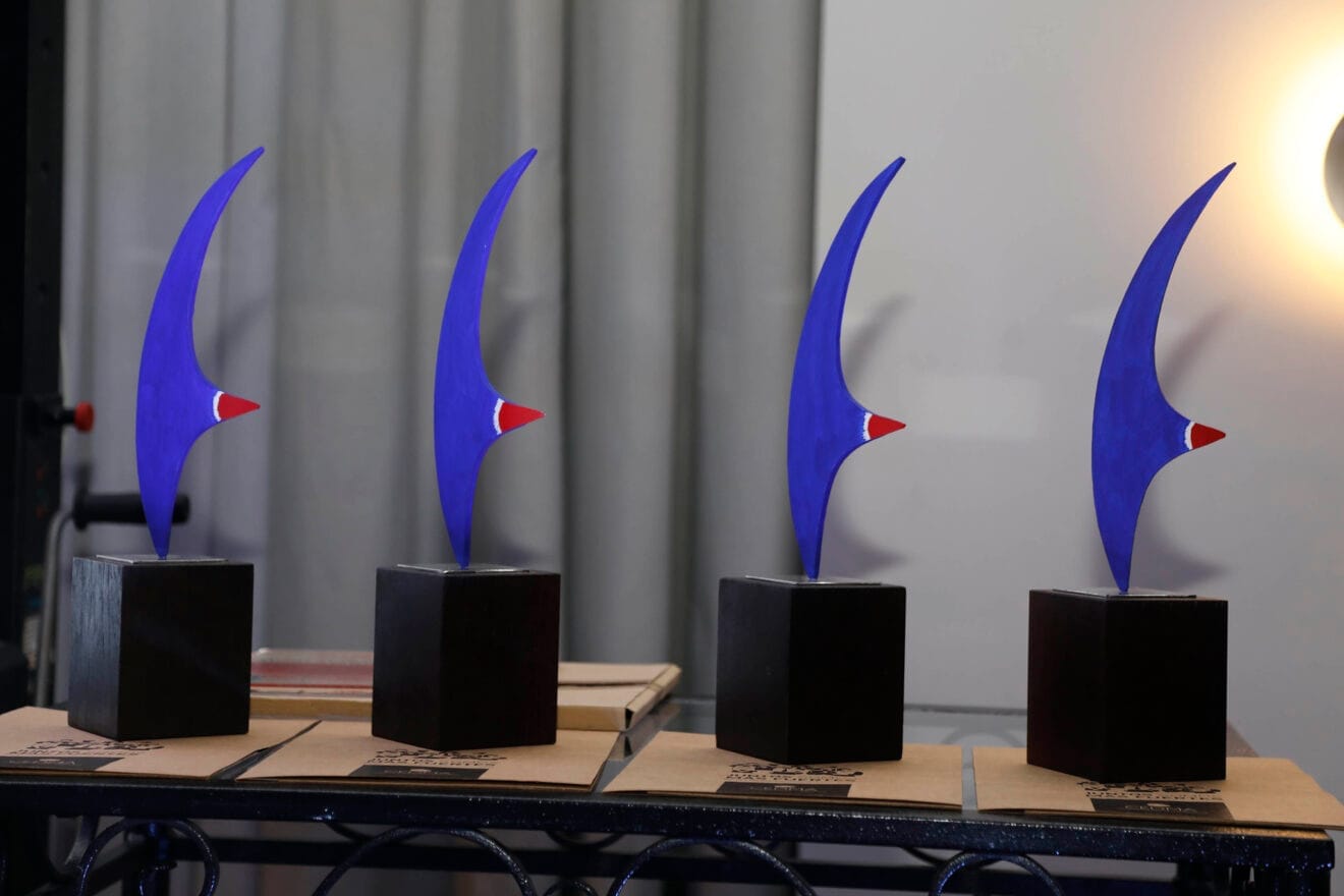 Premios CEDMA 202427