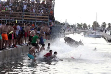 toro cayendo al agua durante los bous a la mar de denia