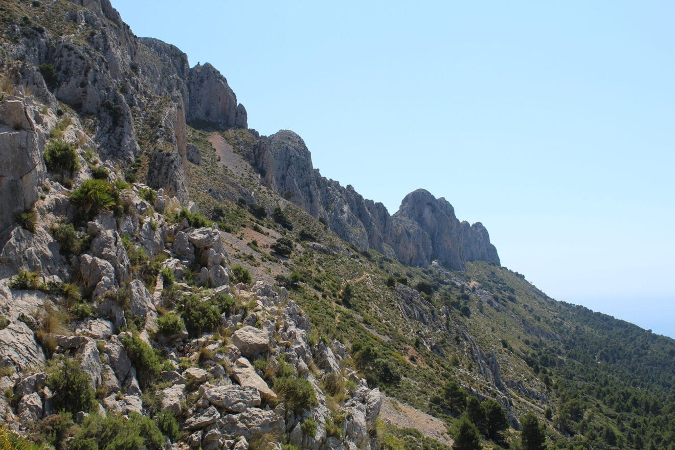 Vegetación de la Sierra de Bernia