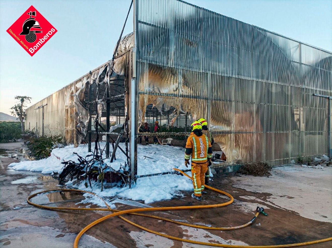 Vivero incendiado en Pego