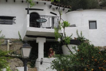 Ambiente de la Fireta de Sant Vicent de Benidoleig 2024 16
