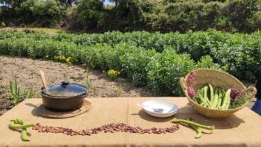 bodegon de fava del poble nou de benitatxell