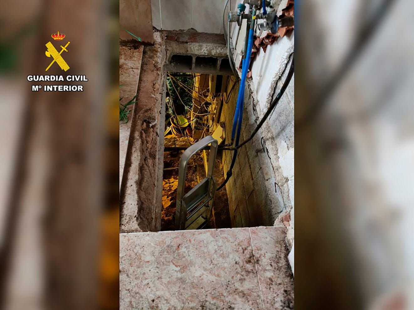 Difícil acceso a la plantación de marihuana en Pedreguer