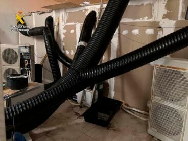 Instalación para la plantación de marihuana de interior desmantelada en Els Poblets