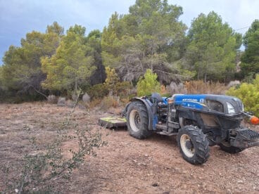 Limpieza de una parcela