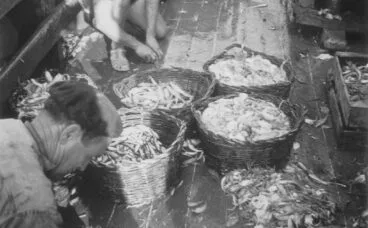 Peix de Calp