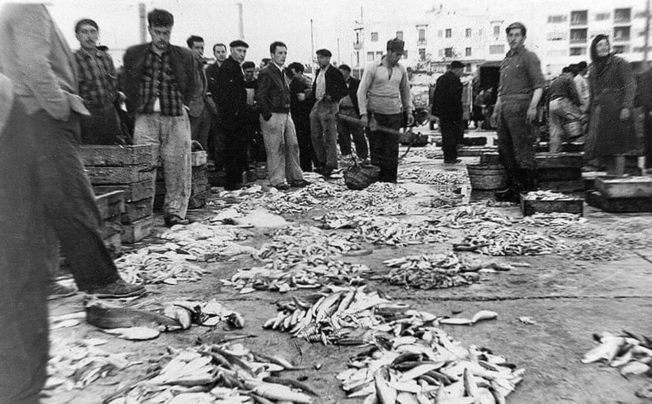 Peix de Calp en la lonja